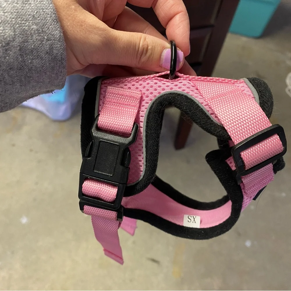 Kitten harness and leash
